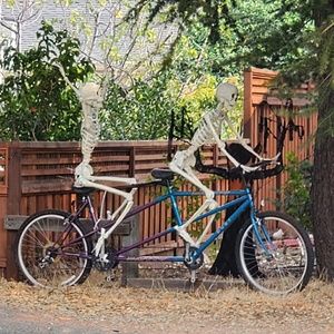 Meet your Posher, Morysha